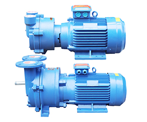 2BV水環真空(kōng)泵 直連式防(fáng)爆真空泵